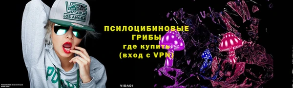 кристаллы Покачи