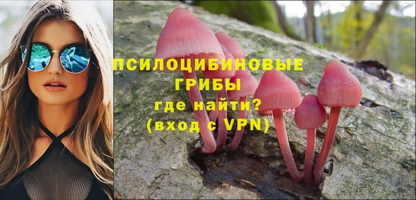 кристаллы Покачи