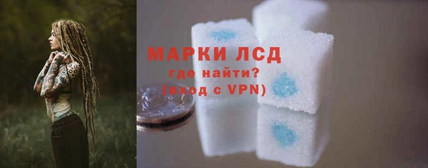 шишки Тутаев