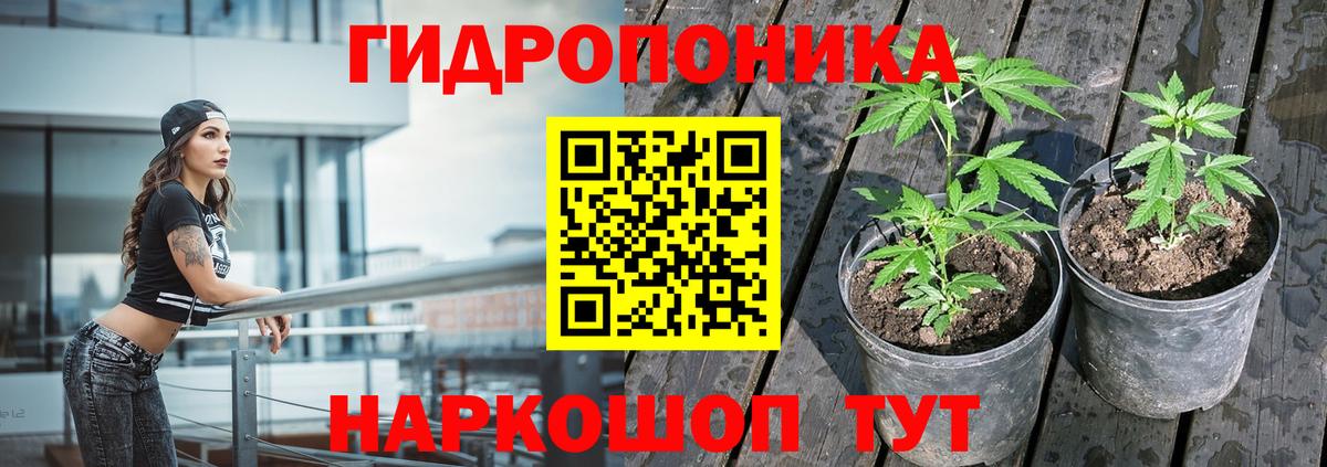 Бошки Шишки AK-47 Вольск